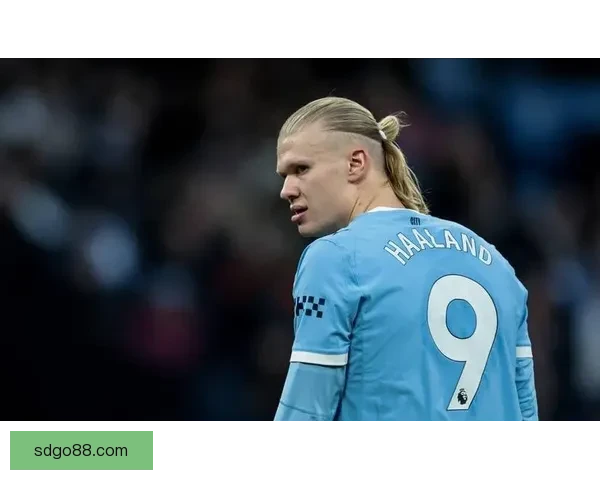 23年至今越位榜反差哈兰德18次最少C罗143次居首对比明显